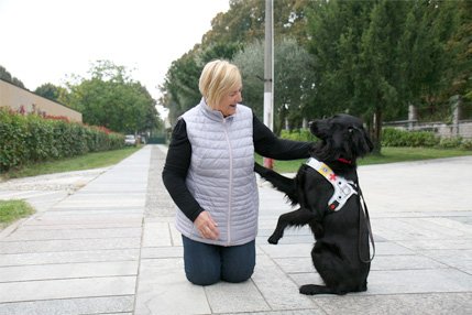Incontro tra cane guida e persona non vedente